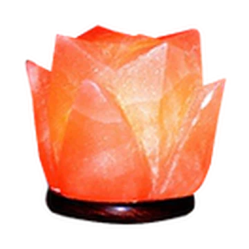 Flower Shape Salt Lamp