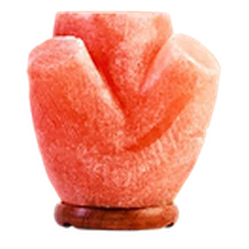 Trunk Shape Salt Lamp