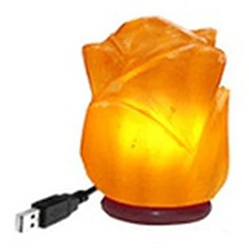 USB Mini Salt Lamp, Rose Flower Shape