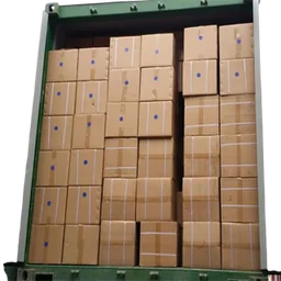 Master cartons for export